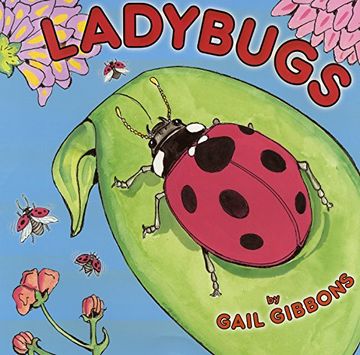 portada Ladybugs (en Inglés)