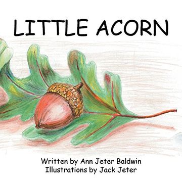 portada Little Acorn (en Inglés)