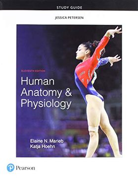 portada Study Guide for Human Anatomy & Physiology (en Inglés)