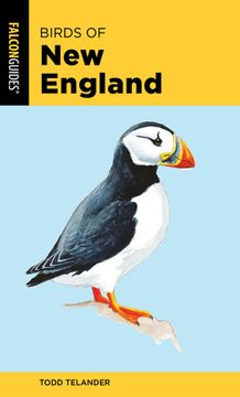 portada Birds of New England (in English)