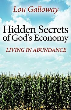 portada hidden secrets of god's economy (en Inglés)