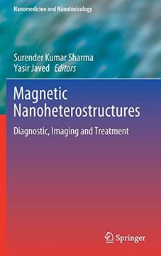 portada Magnetic Nanoheterostructures: Diagnostic, Imaging and Treatment (Nanomedicine and Nanotoxicology) (in English)
