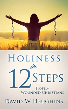 portada Holiness in 12 Steps: Hope for Wounded Christians (en Inglés)