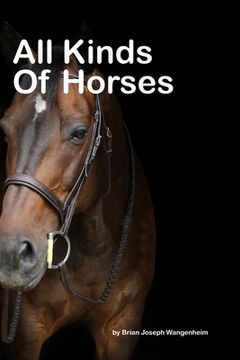 portada All Kinds Of Horses: beautiful pictures of horses (en Inglés)