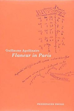 portada Flaneur in Paris (Wolffs Broschur) (en Alemán)
