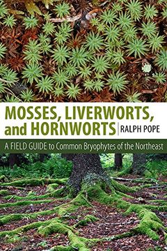portada Mosses, Liverworts, and Hornworts: A Field Guide to Common Bryophytes of the Northeast (en Inglés)