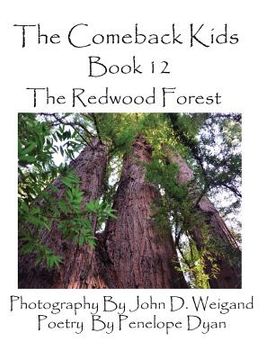portada The Comeback Kids, Book 12, the Redwood Forest (en Inglés)