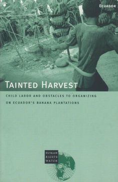 portada Tainted Harvest Child Labor and Obstacles to Organizing on Ecuador's Banana Plantations