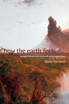 portada How the Earth Feels: Geological Fantasy in the Nineteenth-Century United States (Anima: Critical Race Studies Otherwise) (en Inglés)