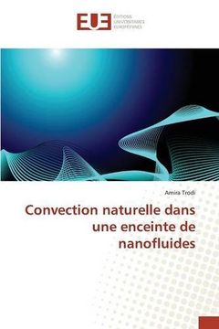portada Convection naturelle dans une enceinte de nanofluides