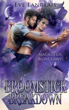 portada Broomstick Breakdown (in English)