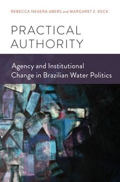portada Practical Authority: Agency and Institutional Change in Brazilian Water Politics (en Inglés)