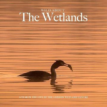 portada Wild Wild About the Wetlands: A Year in the Life of the London Wetland Centre (in English)