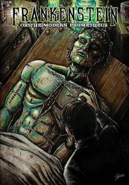 portada Frankenstein: or The Modern Prometheus (in English)
