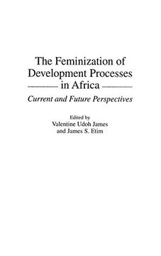 portada The Feminization of Development Processes in Africa: Current and Future Perspectives (en Inglés)