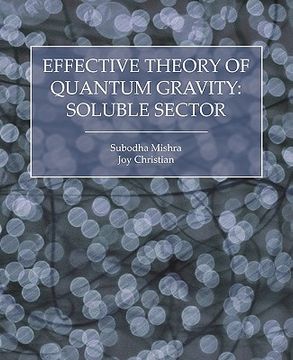 portada effective theory of quantum gravity: soluble sector (en Inglés)