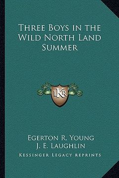 portada three boys in the wild north land summer (en Inglés)