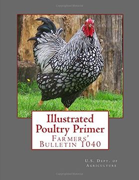 portada Illustrated Poultry Primer: Farmers' Bulletin 1040