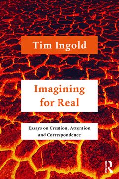 portada Imagining for Real: Essays on Creation, Attention and Correspondence 