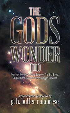 portada The Gods Wonder Too: Musings From out of the Ether 