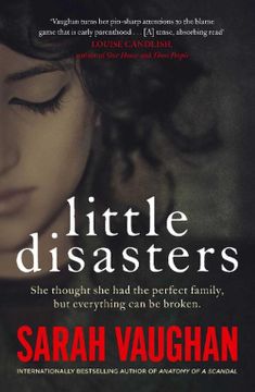 portada Little Disasters (en Inglés)
