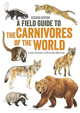 portada Field Guide to Carnivores of the World, 2nd Edition (in English)