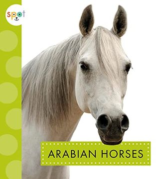 portada Arabian Horses (Spot Horses) (en Inglés)