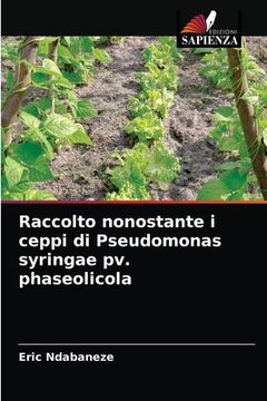 portada Raccolto nonostante i ceppi di Pseudomonas syringae pv. phaseolicola (en Italiano)