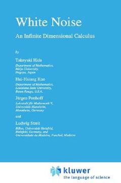 portada white noise: an infinite dimensional calculus (en Inglés)