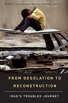portada From Desolation to Reconstruction: Iraq’S Troubled Journey (Studies in International Governance) (in English)