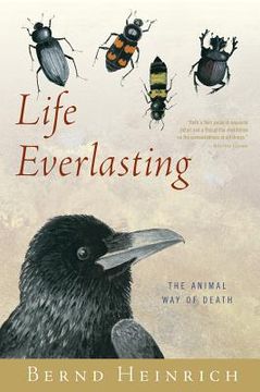 portada life everlasting: the animal way of death (in English)