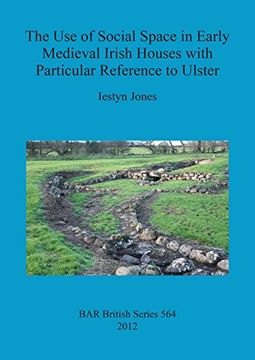 portada the use of social space in early medieval irish houses with particular reference to ulster (en Inglés)