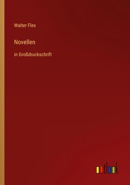 portada Novellen: In Grodruckschrift (in German)