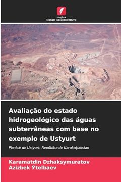 portada Avaliação do Estado Hidrogeológico das Águas Subterrâneas com Base no Exemplo de Ustyurt (in Portuguese)