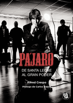 portada PAJARO - DE SANTA LEONE AL GRAN PODER (in Spanish)
