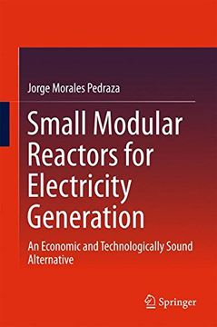 portada Small Modular Reactors for Electricity Generation: An Economic and Technologically Sound Alternative