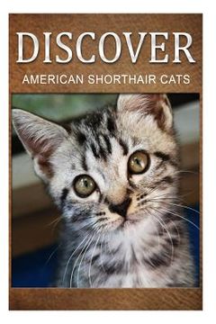 portada American Shorthair Cats - Discover: Early reader's wildlife photography book (en Inglés)