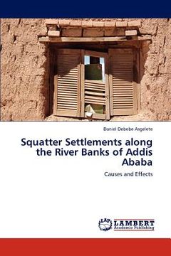 portada squatter settlements along the river banks of addis ababa (en Inglés)