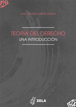 Comprar Teoría Del Derecho Una Introducción De Juan Antonio García ...