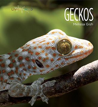 portada Living Wild: Geckos (en Inglés)