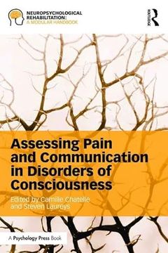 portada Assessing Pain and Communication in Disorders of Consciousness (en Inglés)