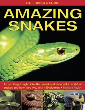 portada exploring nature: amazing snakes: an exciting insight into the weird and wonderful world of snakes and how they live, with 190 pictures (en Inglés)