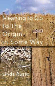portada Meaning to Go to the Origin in Some Way (en Inglés)