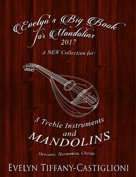 portada Evelyn'S big Book for Mandolins 2017: A Collection of Tunes for 3 Mandolins: Volume 2 (Evelyn'S Mandolin Collection) (in English)