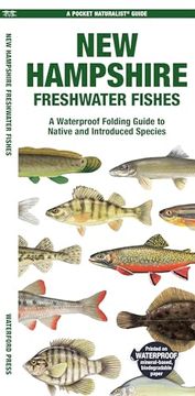portada New Hampshire Freshwater Fishes: A Waterproof Folding Guide to Native and Introduced Species (en Inglés)