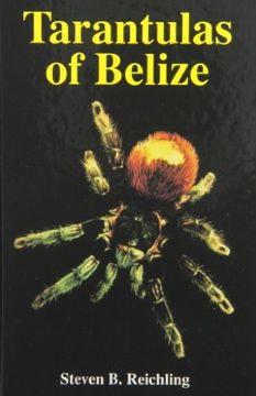 portada Tarantulas of Belize (in English)