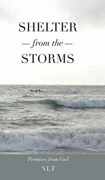 portada Shelter From the Storms; Promises From god 