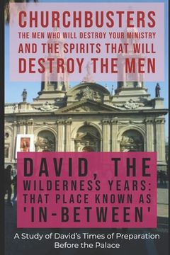 portada David: The Wilderness Years (That Place Known as "In-Between") - A Study of David's Times of Preparation Before the Palace (en Inglés)