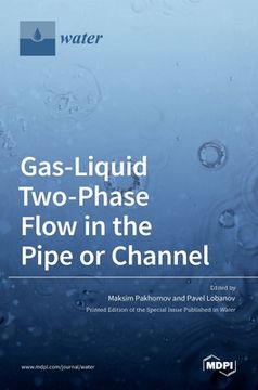 portada Gas-Liquid Two-Phase Flow in the Pipe or Channel 