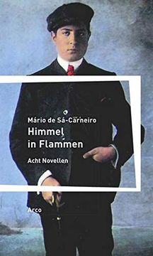 portada Himmel in Flammen: Acht Novellen aus dem Portugiesischen von Magnus Chrapkowski. Deutsche Erstausgabe. (in German)